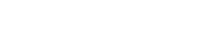 BSD Business System Development